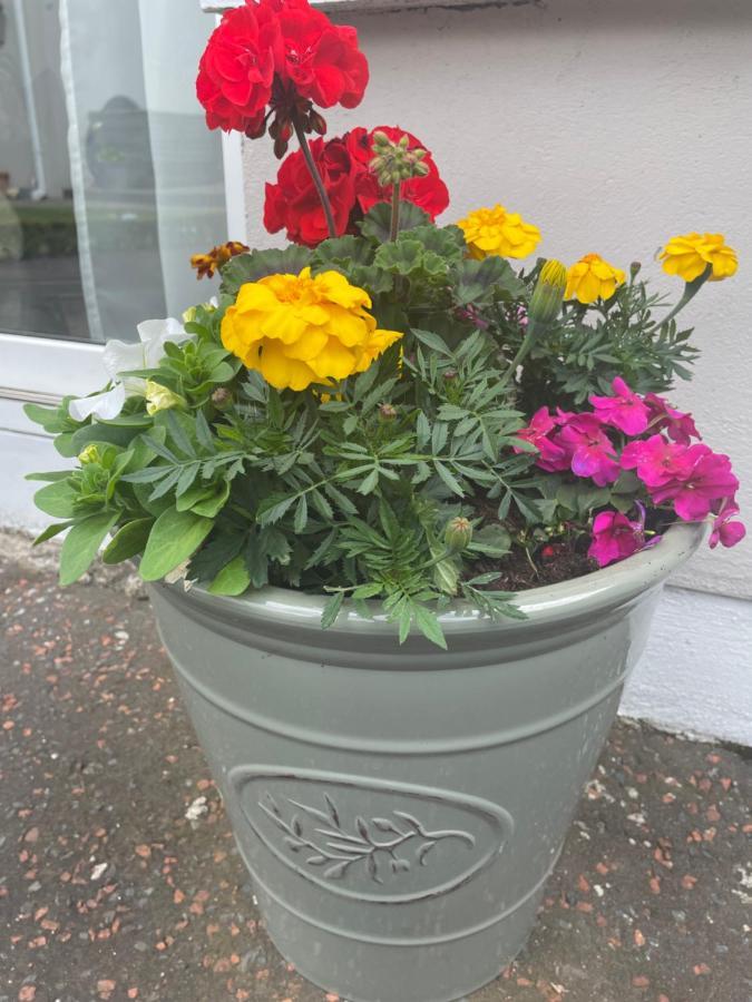 Unique Belfast Stay Bagian luar foto